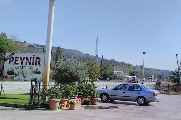 kavlak zeytin - Kurumsal Ofis - Bursa Osmangazi