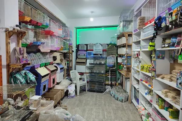 Nur Petşhop - Evcil hayvan mağazası - Kocaeli İzmit