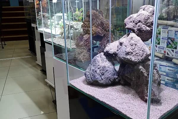 Angora Akvaryum &amp; Petshop - Evcil Hayvan Malzemeleri Mağazası - Ankara Keçiören