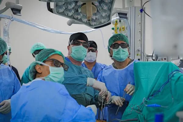 Prof. Dr. Ali Civelek - Endoskopik Kalp Cerrahisi, Endoskopik Minimal İnvaziv, Koroner Baypas, Mitral Kapak, Aort Kapak - Doktor - İstanbul Küçükçekmece