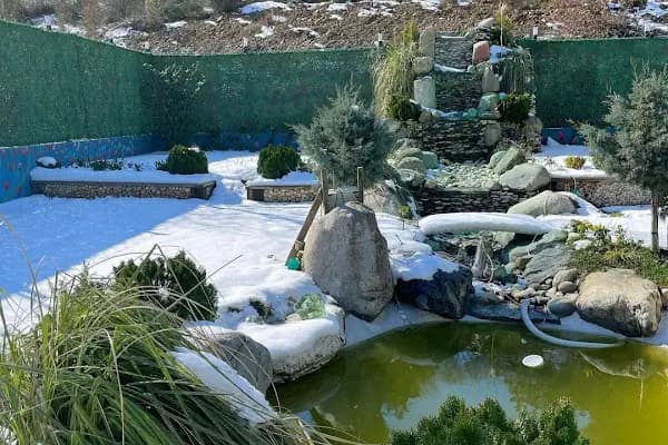 Serander garden - Bahçe - İstanbul Beykoz