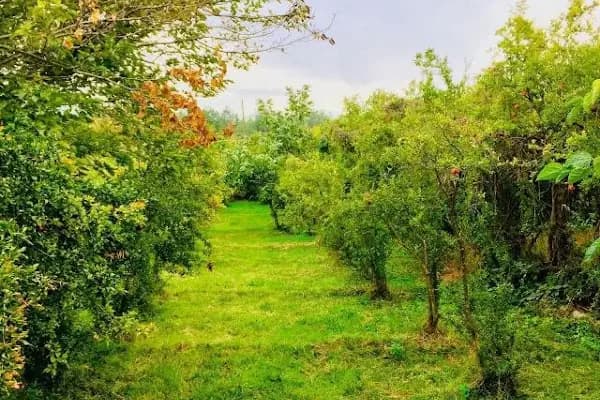 Faruk ASLAN Bağ Evi - Dağ Evi - Gaziantep Nizip
