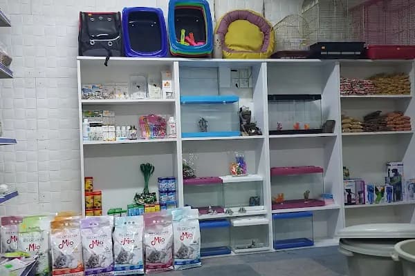 Şifa petshop. Tuzla - Hayvanat Bahçesi - Bursa Osmangazi