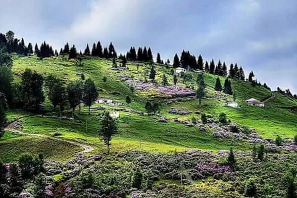 Hıdırnebi Yaylası - Park - Trabzon Akçaabat