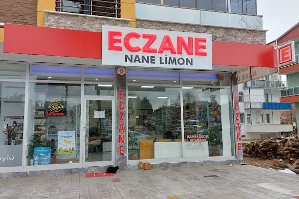 NANE LİMON ECZANESİ - Eczane - Samsun Alaçam