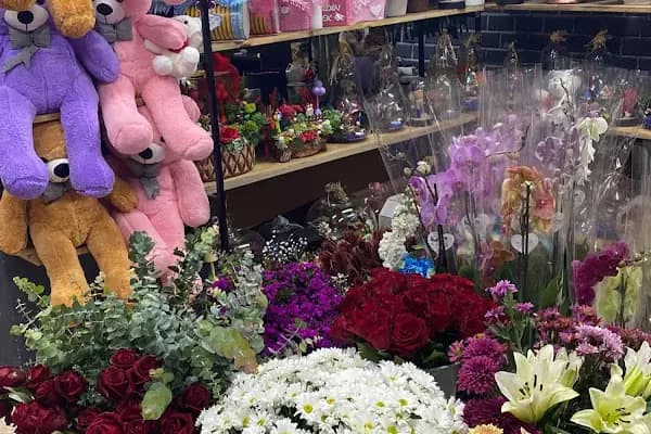 Arnavuköy Çicekci Mimoza Çiçekcilik - Çiçekçi - İstanbul Arnavutköy
