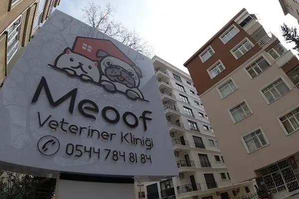 Meoof Veteriner Kliniği - Veteriner - İstanbul Küçükçekmece