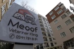 Meoof Veteriner Kliniği