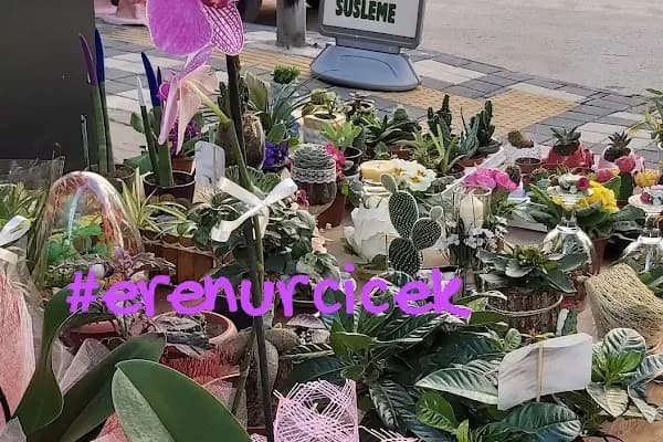 EreNur Çiçekçilik - Çiçekçi - Bursa Osmangazi