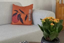 Psikolog Yasemin Bozkurt