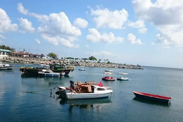 Avcilar Terminali - Ulaşım Hizmeti - İstanbul Adalar