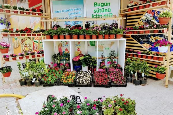 BESA Süpermarket - Market - Balıkesir Altıeylül