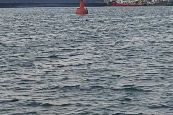 İpragaz - Benzin İstasyonu - Kocaeli Gölcük