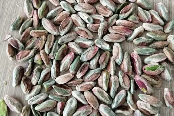 Çiçek Ticaret - Şirket - Gaziantep Nizip