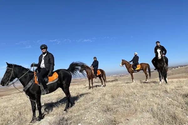 Performans Binicilik - Binicilik Kulübü - Ankara Gölbaşı