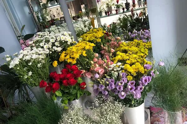 Hello Flower Sakarya 7-24 Çiçek Hizmeti - Çiçekçi - Sakarya Adapazarı