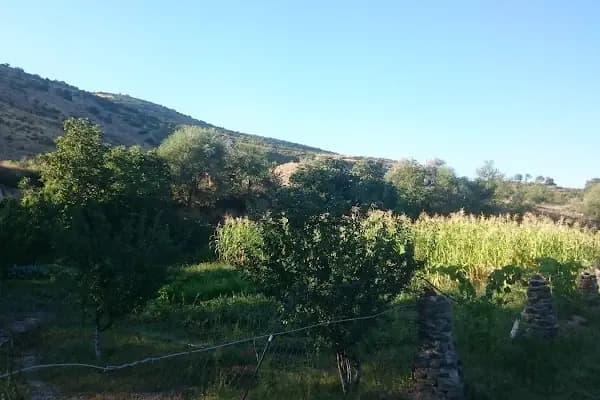 Ayaş - Yerleşim Yeri - Ankara Ayaş