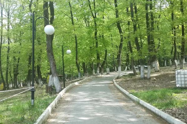 Kuzuluk Tabiat Parkı - Park - Sakarya Akyazı