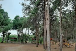 Mersin Yüzüncü Yıl Tabiat Parkı
