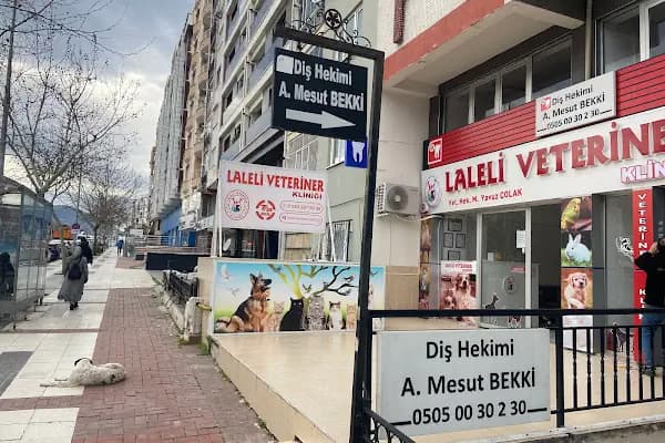 Dis Hekimi Mesut Bekki - Diş Hekimi - Manisa Şehzadeler