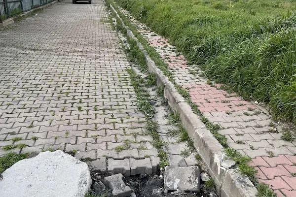 Avcılar Belediyesi Beyaz Masa - Sosyal Yardım Kurumu - İstanbul Avcılar