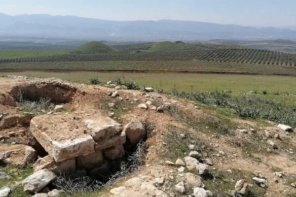 Bintepeler Lidya Tümülüsleri - Tarihi Yer - Manisa Salihli