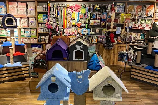 Oddie Pet Shop - Evcil Hayvan Malzemeleri Mağazası - Samsun İlkadım