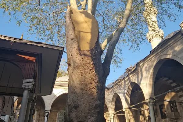 Eyüp Sultan Türbesi - Kutsal Yer - İstanbul Bakırköy