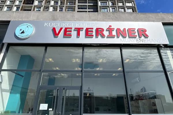 Küçükçekmece Pet ve Kuş Veteriner Kliniği - Veteriner - İstanbul Küçükçekmece