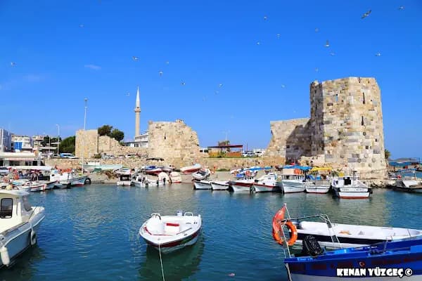 Yumurtalık Limanı - Liman İdaresi - Çanakkale Ayvacık