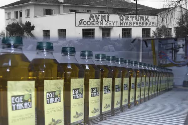 Avni Öztürk Zeytinyağı Fabrikasi - Üretici - Aydın Efeler