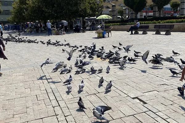Efehan Hotel | İzmir Çankaya Otel - Otel - İzmir Konak