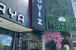 ifa doviz