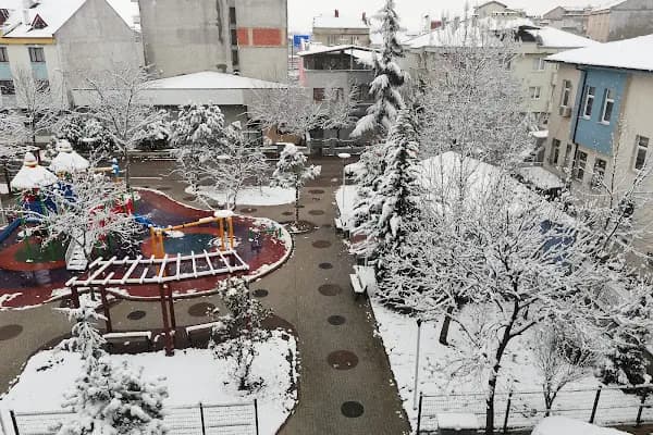 Orhaniye Mahallesi Muhtarlıgı - Kurumsal Ofis - Bursa Büyükorhan