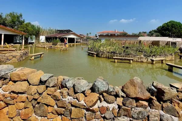 PELOiD Hamam SPA Masaj Salonu Dalyan - Spa ve Sağlık Kulübü - Muğla Ortaca