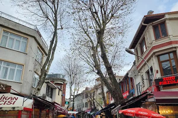Bisikletçi Selami - Bisikletçi - İstanbul Adalar