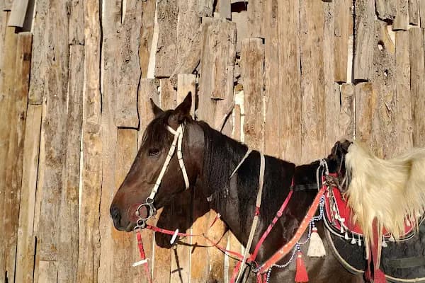 Yiğidolar Atlı Spor Klübü - At Binme Hizmeti - Sivas Suşehri