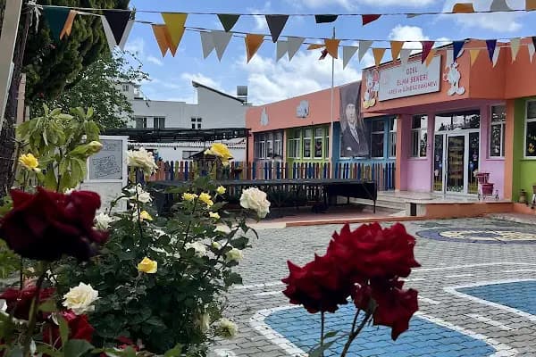 Elma Şekeri Kreş Anaokulu - Kreş - Mersin Yenişehir