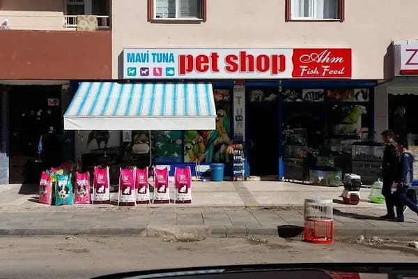 Mavi Tuna Pet Shop - Evcil hayvan mağazası - Ankara Etimesgut
