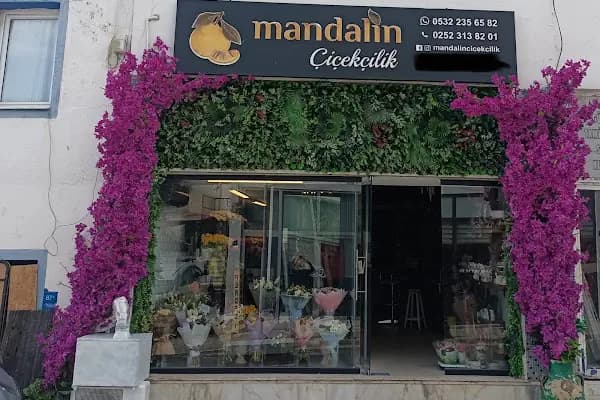 BODRUM ÇİÇEKÇİSİ-MANDALİN ÇİÇEKÇİLİK - Çiçekçi - Muğla Bodrum