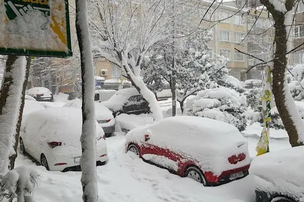 Çınaraltı Parkı - Park - İstanbul Küçükçekmece