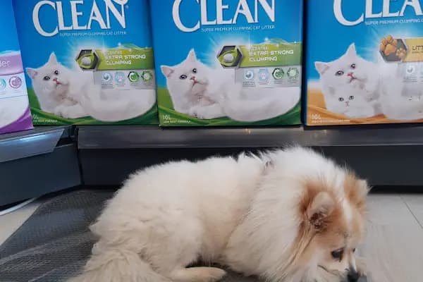 UpHill PETSHOP Kent Çarşı Ataşehir - Evcil Hayvan Malzemeleri Mağazası - İstanbul Ataşehir