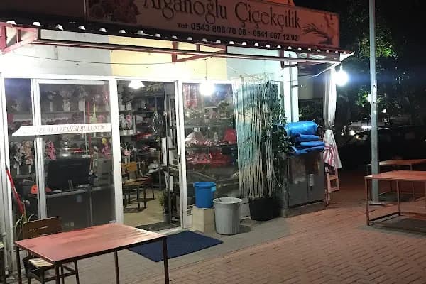Alganoğlu Çiçekçilik - Çiçekçi - Aydın Bozdoğan