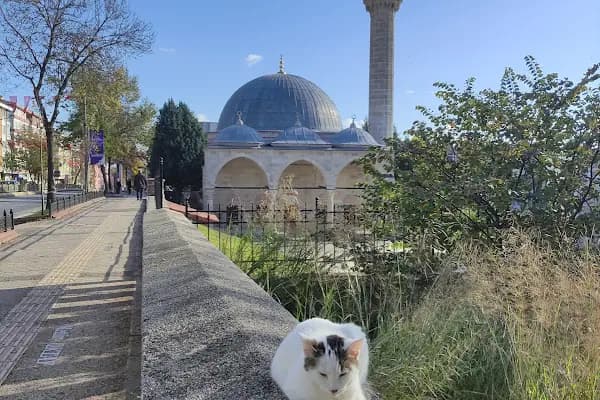 EDİRNE TASFİYE İŞLETME MÜDÜRLÜĞÜ - Devlet Dairesi - Edirne Keşan