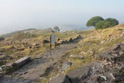 Bergama Sebze Ve Meyve Hali