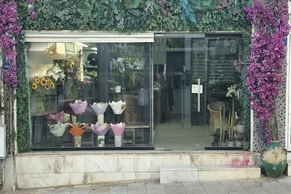 BODRUM ÇİÇEKÇİSİ-MANDALİN ÇİÇEKÇİLİK - Çiçekçi - Muğla Bodrum