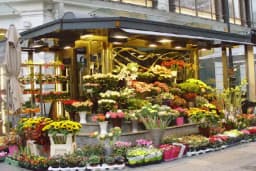 Ataşehir Flowers &amp; Event