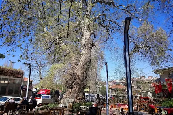 Kaynaklar - Semt - İzmir Aliağa