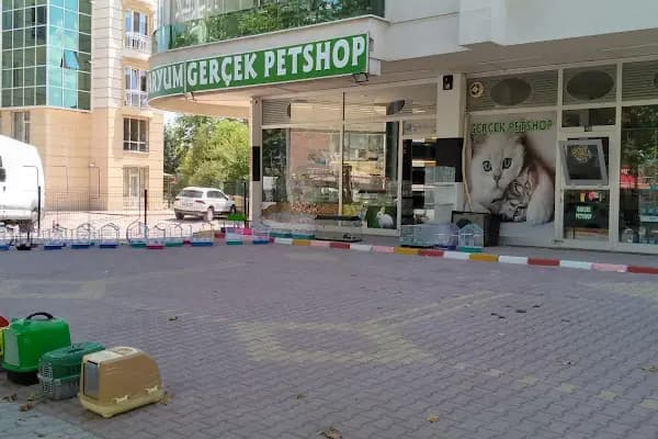 Gerçek Petshop ve Akvaryum Ahmet özcan caddesi - Evcil hayvan mağazası - Konya Meram