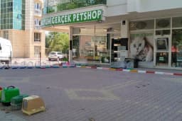 Gerçek Petshop ve Akvaryum Ahmet özcan caddesi